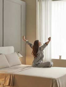 Egyptian Cotton 1000 Thread Count Eco-Friendly Solid Sheet Set (Color: Tan, size: King)