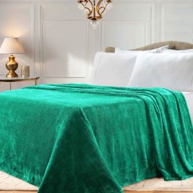 Fleece Plush Medium Weight Fluffy Soft Solid Decorative Blanket (Color: Evergreen, size: Twin)